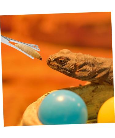 HANABASS Reptile Feeding Clip Feeding Tong Cricket Feeder Snake Clamp Stainless Steel Silver - Buy Online on GoSupps.com