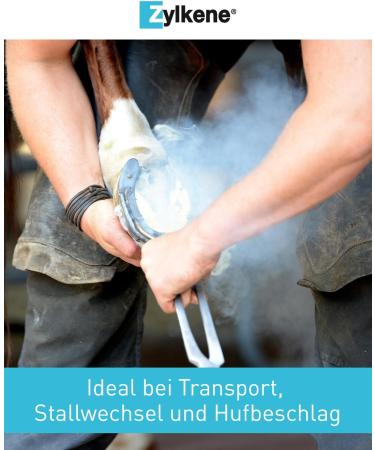 Vetoquinol Zylkene Equine | 20 x 4g | Dietary Supplement for Horses | May Help Reduce Undesirable Behavior of Horses in Unusual Situations - Buy Online on GoSupps.com