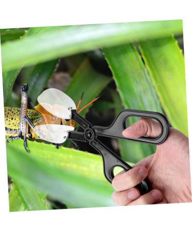 BESPORTBLE 6 Pcs Reptile Feeding Clip Chameleon Habitat Kit Cricke Capturer Gecko Cage Cleaner Reptiles Mx2pcs Blackx2pcs - Buy Online on GoSupps.com