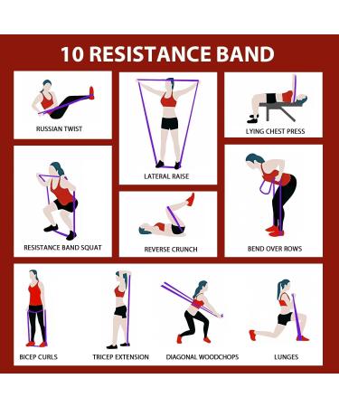 LEEKEY Resistance Bands Set - Versatile Pull Up Assist & Workout Bands for Men & Women | 15-125LBS - Ideal for Fitness Training Physical Therapy & Home Workouts - Buy Online on GoSupps.com