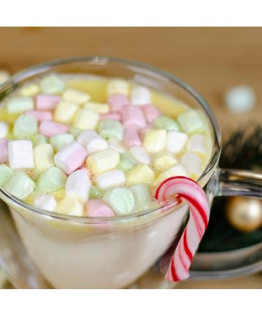 DIY White Drinking Chocolate | Premium Hot White Chocolate Kit in Milk Bottle | Perfect Christmas Gift Ideas - Buy Online on GoSupps.com