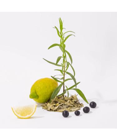 Compagnie de Provence Savon de Marseille Extra Pure Liquid Soap White Tea 101.4 Fl Oz Eco Refill - Buy Online on GoSupps.com