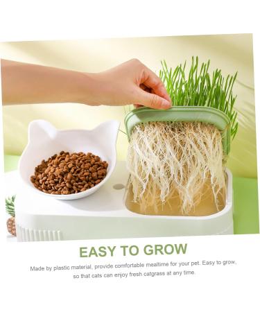 FOMIYES 3pcs set Reusable Suit Stencils Women Strap Grooming Diy Kit Pencil Styling Styles Full De for - Buy Online on GoSupps.com