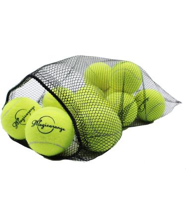 Magicorange 12 Pack Advanced Training Tennis Balls for Beginner Practice with Mesh Bag - Green - Buy Online on GoSupps.com
