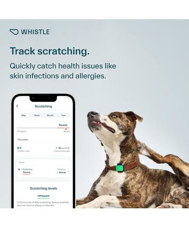 Whistle Health Smart Device for Dogs | Fitness & Activity Tracker - Green - Buy Online on GoSupps.com