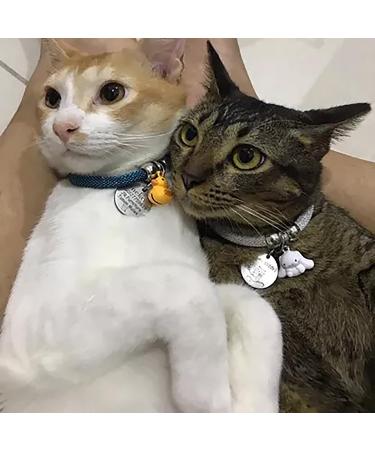 Unique Stainless Steel Dog & Cat ID Tags | Fun Patterns | Double-Sided Engraving & Safe Edge Polishing - Buy Online on GoSupps.com