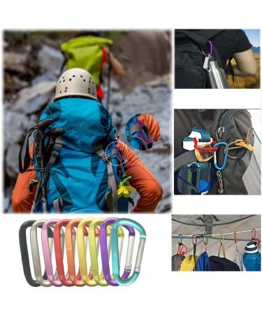 LESHIRY Large Pink Carabiner Keychain 3 Aluminum D-Ring Clip Hook - 2 Pack - Buy Online on GoSupps.com