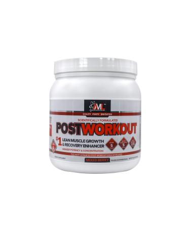 Advanced Molecular Labs - Postworkout Powder Post Workout Recovery Drink Muscle Builder Post Workout Supplement Mixed Berry 12.3 oz Fruit Punch 12.3 Ounce (Pack of 1)