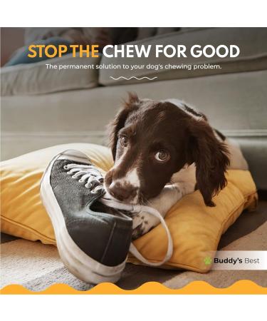 BUDDY'S BEST Anti Chew Spray for Dogs | Stop Chewing & Biting | Deter & Train Puppies | Fast Acting 250ml - Buy Online on GoSupps.com