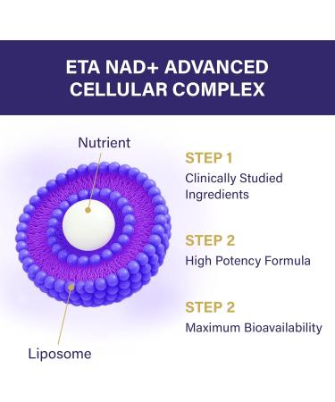 NAD+ Supplement - NAD Resveratrol for Cellular Energy and Stamina - Energy Supplements with Nicotinamide Riboside, Grape Seed and B Vitamins for Healthy Aging for Men & Women - 60 Capsules 60 Count (Pack of 1) - Buy Online on GoSupps.com