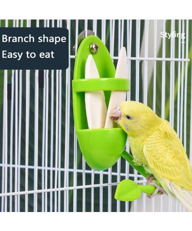 Cuttlebone 2 Pack Large Cuttlefish Bone with Holder for Birds Cockatiels Parakeet Turtles Tortoise Snails (Color AB) green - Buy Online on GoSupps.com