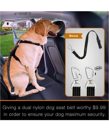 iBuddy Waterproof Dog Car Seat Cover with Mesh Window and Seat Belt - Durable Black Pet Hammock for Cars/Trucks/SUVs - Buy Online on GoSupps.com