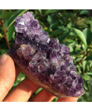 Natural Crystal Rough Amethyst Quartz Crystal Cluster Specimen Healing 140-150g - Buy Online on GoSupps.com