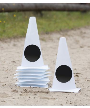 WALDHAUSEN track pylons compass points white