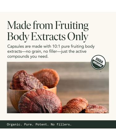 Fantastic Fungi Reishi Mushroom Capsules - Sleep Supplement for Adults with Red Reishi Mushroom Extract Passionflower & Hops - Adaptogenic 100% USDA Organic Complex Vegan 120 Caps (2-Month Supply) - Buy Online on GoSupps.com