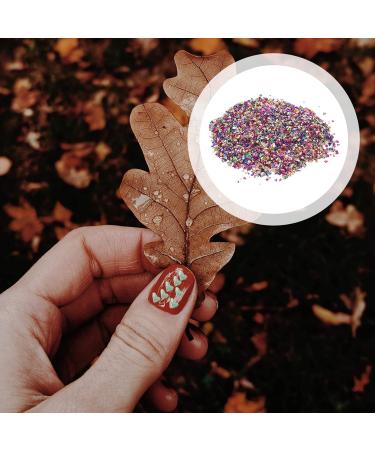 FRCOLOR 1 Glass Chip Chunky Flakes Sequins Metallic Crushed Glass Epoxy Filler Charms Irregular Nail Art Crushed Glass Flakes for Nails Retro Vase Manicure Fillers Nail Stickers 3D Crystal 0.5X0.3cm Colorful - Buy Online on GoSupps.com