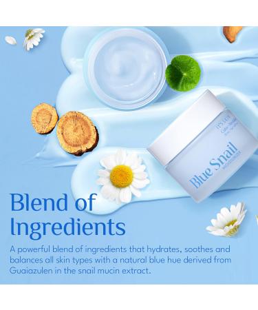 It'S SKIN Blue Snail Cream - Hydrating Daily Face Moisturizer with Snail Mucin Centella Asiatica & Niacinamide | Korean Skincare 1.69 Fl oz - Buy Online on GoSupps.com