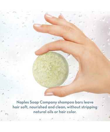 Natural Solid Shampoo Bar | Paraben & Alcohol-Free | Handmade Coconut Lime | pH Balanced | Eco-Friendly Hydrating Haircare | 50-75 Uses - Buy Online on GoSupps.com