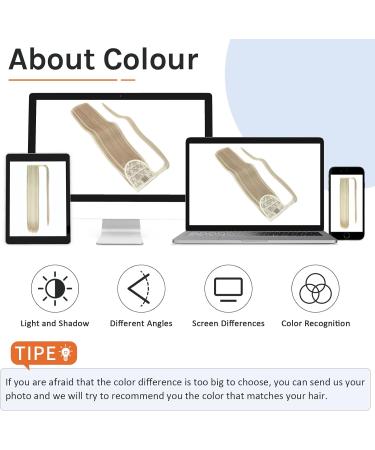 Silk-co Ash Blond/Blond 28 Clip in Ponytail Hair Extension - Heat-Resistant Fiber Straight Pony Tail Wrap Around Hairpiece for Women - Buy Online on GoSupps.com