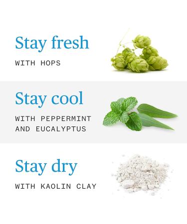 Ursa Major Hoppin Fresh Natural Deodorant - Aluminum-Free, Non-Staining, Cruelty-Free - 2.6 oz (Pack of 1) - Buy Online on GoSupps.com
