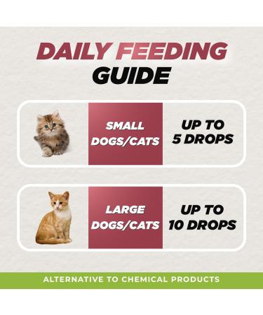 BUDDY'S BEST Ringworm Relief Spot-On Treatment for Dogs & Cats: Natural Fast-Acting Formula with Jojoba & Neem Oil Soothes & Heals Skin Easy Application 50ml - Buy Online on GoSupps.com
