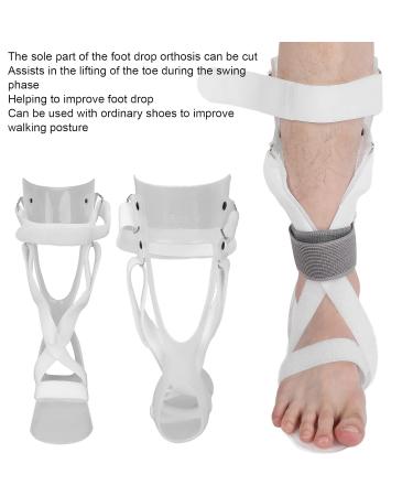 Buy ZJchao Foot Drop Brace Support - Adjustable Ankle Orthosis for Men & Women - Breathable Walking Aid for Plantar Muscles - Right Foot M - Buy Online on GoSupps.com
