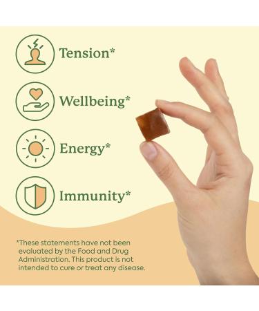 Plant People Chocolate Wonderbee Superfood & Mushroom Chews 30 Ct - Buy Online on GoSupps.com