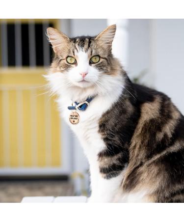 MyLuckytag Stainless Steel QR Code Pet ID for Cats - Instant Location Alerts & Online Profile - Help Me I'm Lost - Redgold - Buy Online on GoSupps.com