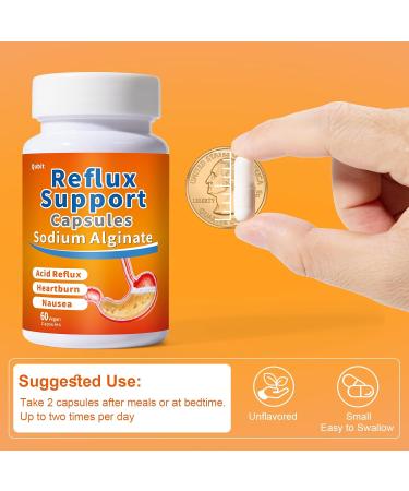 QUBIT Sodium Alginate for Acid Reflux No Aftertaste & Taste Well Easy to Swallow for Silent Reflux Heartburn & Indigestion Gourmet Raft Barrier on Stomach 60 Vegan Capsules - Buy Online on GoSupps.com