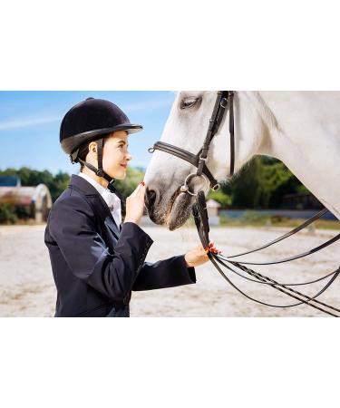 Premium Genuine Leather 18 Horse Crop Jump Bat with Black Handle - Equestrian Fiberglass Rod for English Training - Buy Online on GoSupps.com