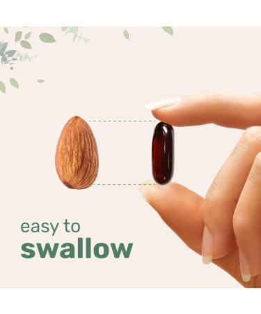 Micro Ingredients Pumpkin Seed Oil with Saw Palmetto 3 000mg Softgels & Hair Vitamins Complex Capsules | 2 Pack Bundle | Cold Pressed Virgin Oil | 14-in-1 Hair Growth Support with Collagen & Biotin - Buy Online on GoSupps.com