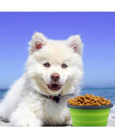 Buy Luter 2-Piece Collapsible Dog Bowl Set - 350ml Silicone Travel Pet Bowl with Lid - Portable Feeding Dish for Kennels & Camping (Green Red) - Buy Online on GoSupps.com