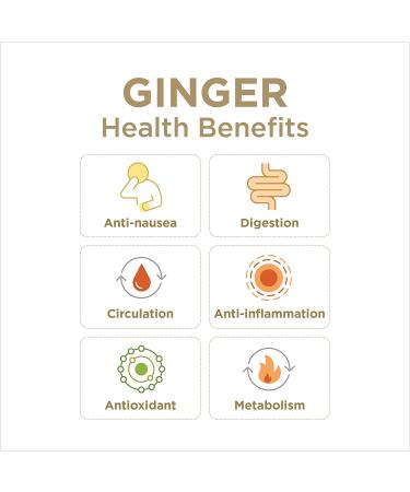 Ginger People Ginger Rescue Chewable Tablets - Orange & Mighty Mango, 24 Count (0.55 Oz) - Buy Online on GoSupps.com