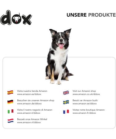 DDOXX Reflective Nylon Dog Leash | 2m Adjustable Leash for All Dog Sizes | XS Red - Durable & Comfortable - Buy Online on GoSupps.com