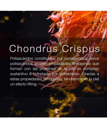 Maystar Synergy Lift Excellence Supreme Texture Eye Contour Cream. Anti-edad lifting effect eye contour. 15ml. - Buy Online on GoSupps.com