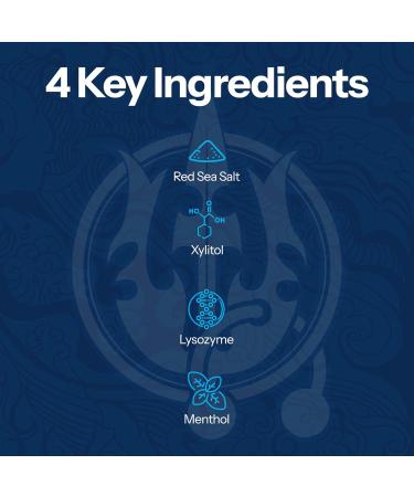 H2Ocean Healing Rinse Mouthwash- Great Tasting Sea Salt & Xylitol Mouth Wash for Fresh Breath & Dry Mouth & Tonsil Stones - Alcohol & Fluoride Free - Arctic Ocean Mint 8oz Arctic Ocean Mint 8 Fl Oz (Pack of 1) - Buy Online on GoSupps.com