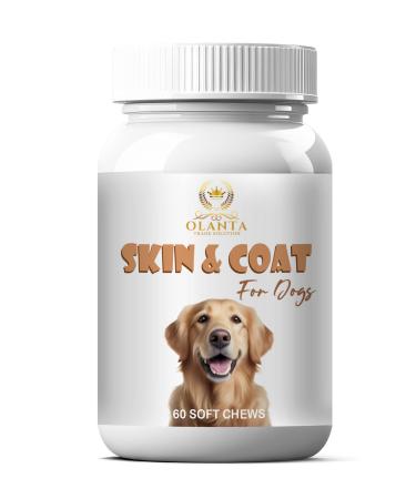 Omega 3 Skin & Coat Dog Chews with Biotin Garlic & Salmon Oil for Healthy Skin Shiny Coat & Itch Comfort in All Breeds and Sizes - 1 Bottle 60 Soft Chews