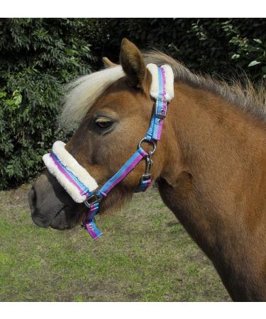 Rhinegold Bright Striped Fur Trim Small Pony Headcollar Mini Shetland Turquoise Stripe - Buy Online on GoSupps.com