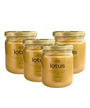 Generisch Lotus Premium Ginseng Formula Macun high potency 240g immediate effect extra strength for active men Tribulus Terrestriis Pack of 4