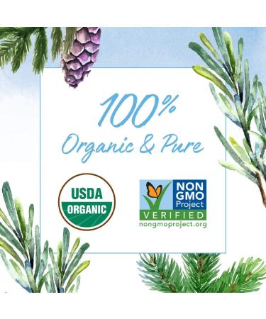 Garden Of Life Organic Breathe Blend Essential Oil - 0.5 Fl Oz (Pack of 1) - Buy Online on GoSupps.com