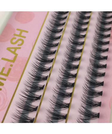 Premium Russian 20D Premade Volume Eyelash Extensions - C Curl 0.10mm Thickness Lengths 8mm to 14mm - Buy Online on GoSupps.com
