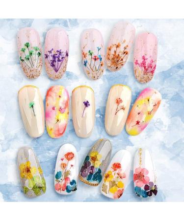 UNIME 16 Colors Dried Flowers for Nail Art | Mini Real Natural Flowers Nail Art Supplies | 3D Applique Decoration Sticker for Manicure (Mixed Gypsophila) - Buy Online on GoSupps.com