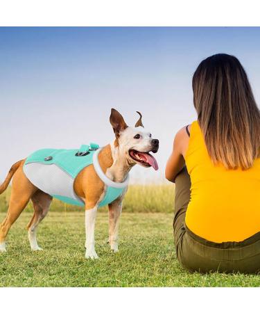 Hjyokuso Dog Cooling Vest - Summer Cooling Jacket for Small Medium & Large Dogs | Perfect for Outdoor Activities & Training | L Blue - Buy Online on GoSupps.com