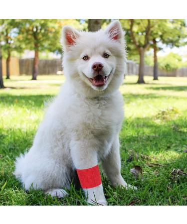 GSPCARE Self Adherent Bandage Wrap 6 Roll 7.5cm X 4.5m Vet Wrap Non-Woven Cohesive Bandage Wrap Pet Bandage Tape Strong Elastic Kinselogy Tape for Sports Protection(Printed Color) Printed 6 Count - Buy Online on GoSupps.com