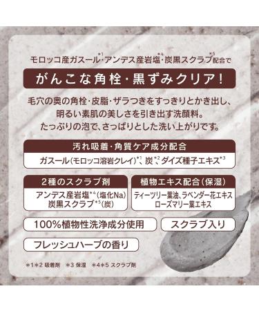 BCL Tsururi Blackhead Scrape Out Ghassoul Facial Cleansing Paste N - 120 g - Buy Online on GoSupps.com