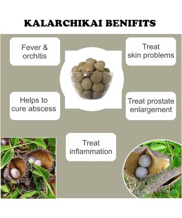 Nutranix eln Kalarchikai Powder 200g | Fever Nut | Kantkarej | Caesalpinia Bonducella (Pack of 2x100g) - Buy Online on GoSupps.com