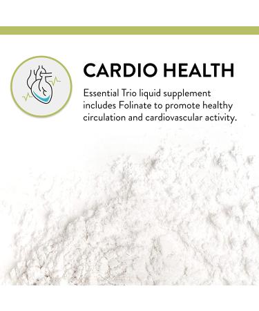 Vegan Vitamin B12 Sublingual Drops with B6 and Folinate - 33333DV Methylcobalamin, B Complex Liquid - 80 Servings, Gluten Free, Non-GMO, USA - Buy Online on GoSupps.com