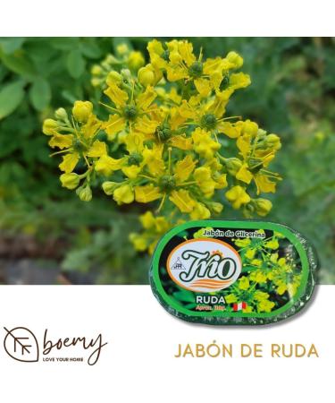  BOEMY Ruda Esoteric Soap 100g Pack of 2 - Protection and Positive Energy - Glycerin Based - Peruvian Origin - Buy Online on GoSupps.com