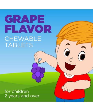Children's Allergy Relief Loratadine Chewable Tablets 5 mg 24 Hour Allergy Medicine Non-Drowsy Antihistamine Grape Flavor - Buy Online on GoSupps.com