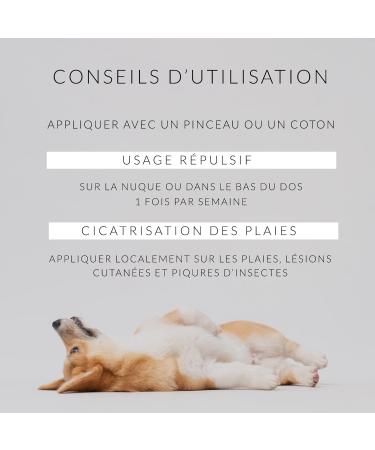 Distillerie des C vennes - Cade oil for dogs - 250g - The only oil 100% made and distilled in France - Buy Online on GoSupps.com